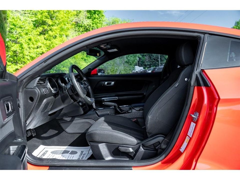 2019 Ford Mustang