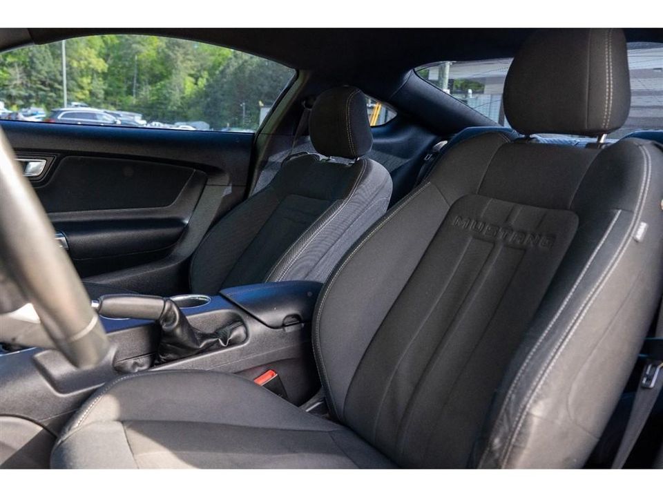2019 Ford Mustang
