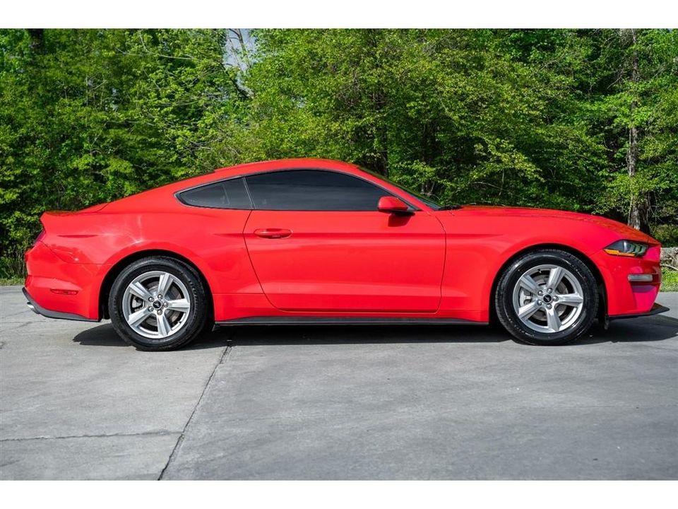 2019 Ford Mustang