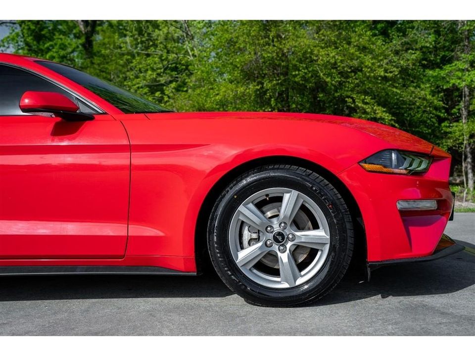 2019 Ford Mustang