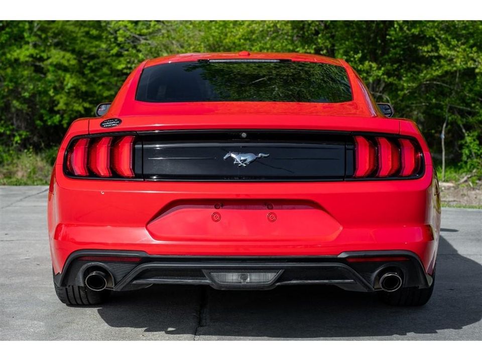 2019 Ford Mustang