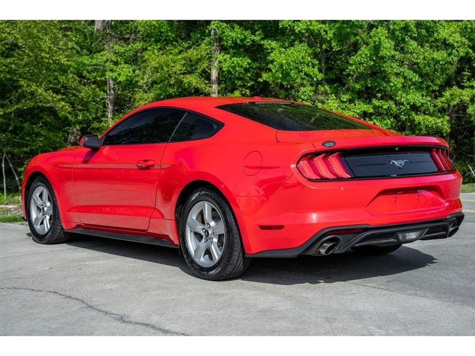 2019 Ford Mustang