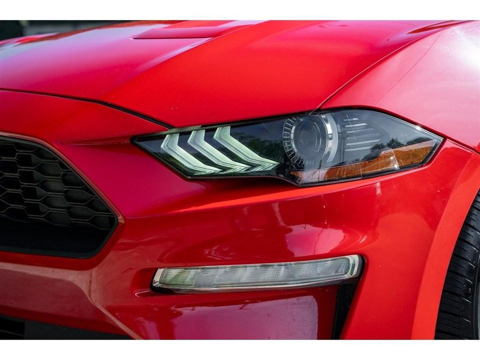 2019 Ford Mustang