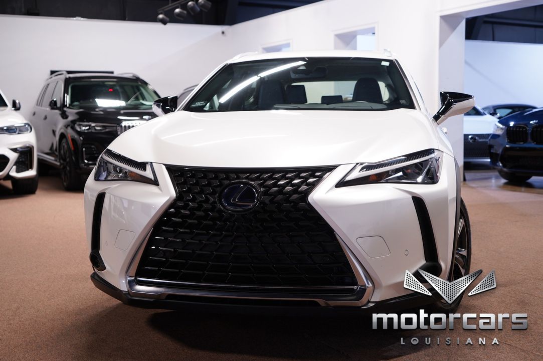 2020 Lexus UX 250h