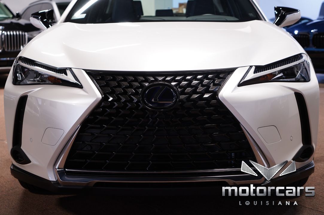 2020 Lexus UX 250h
