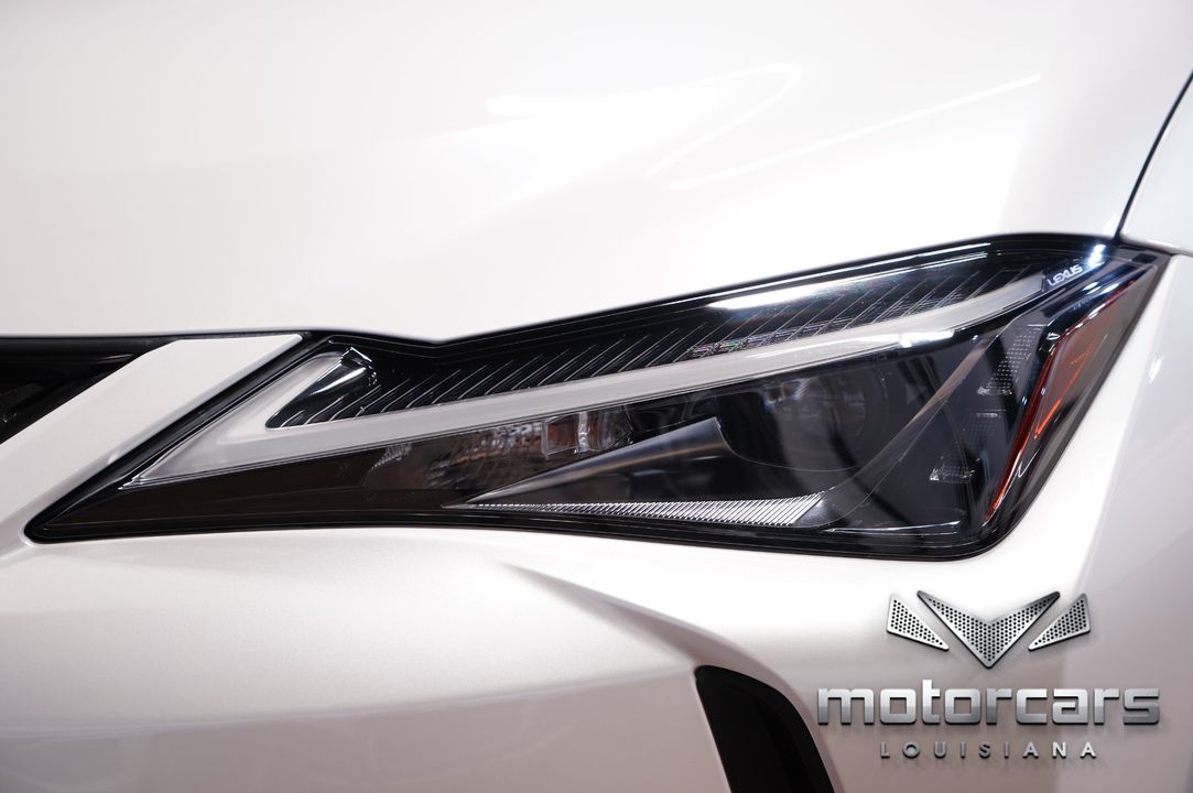 2020 Lexus UX 250h