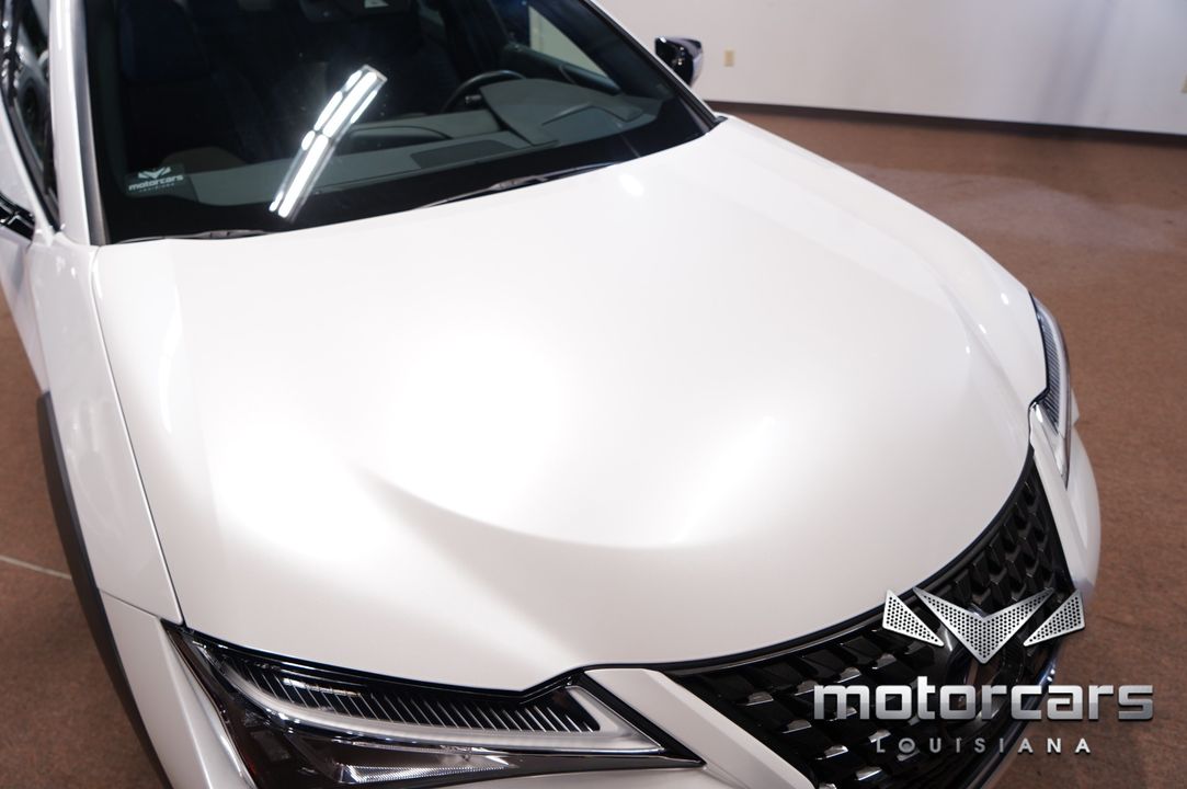 2020 Lexus UX 250h