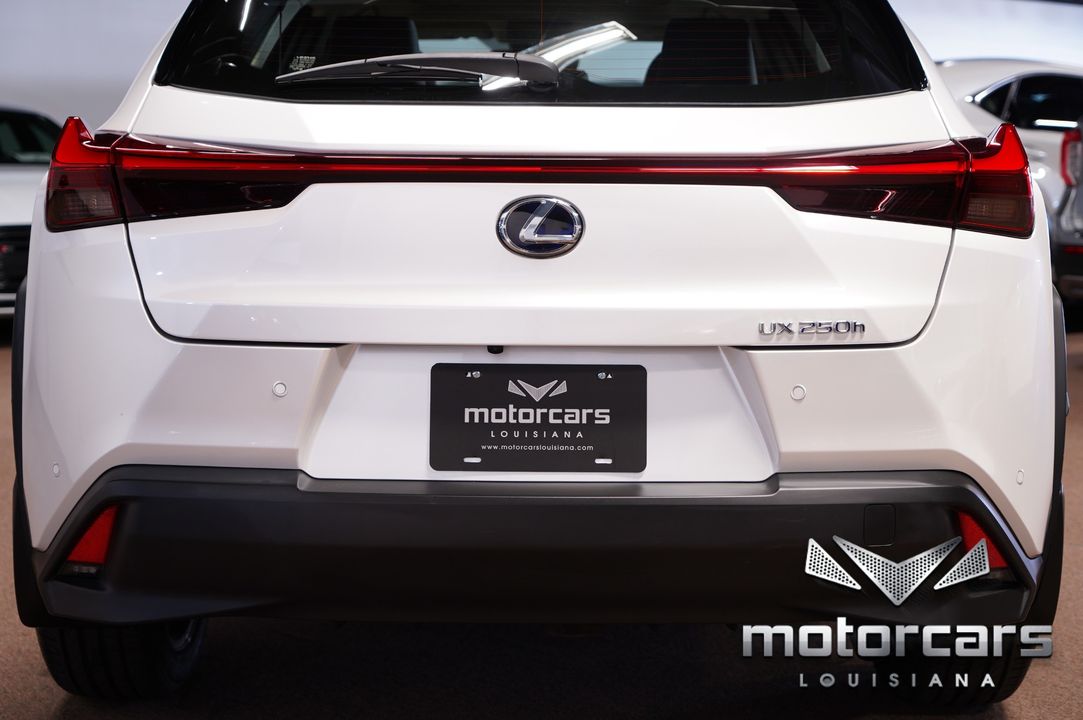 2020 Lexus UX 250h