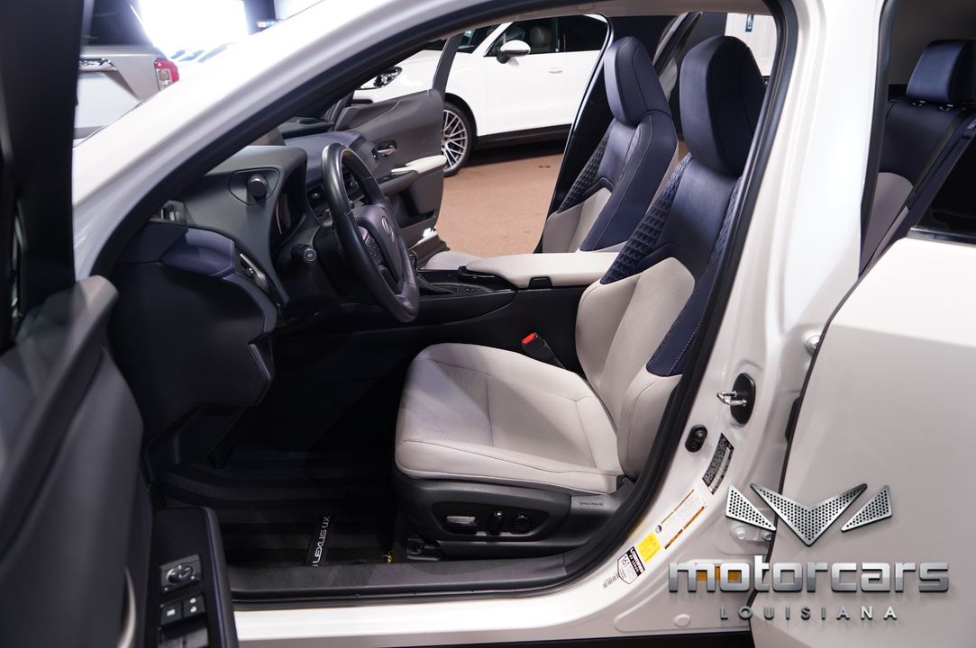2020 Lexus UX 250h