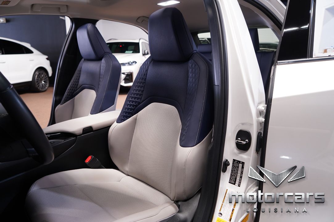 2020 Lexus UX 250h