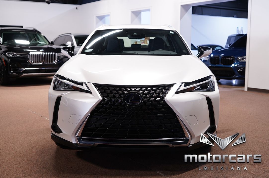 2020 Lexus UX 250h