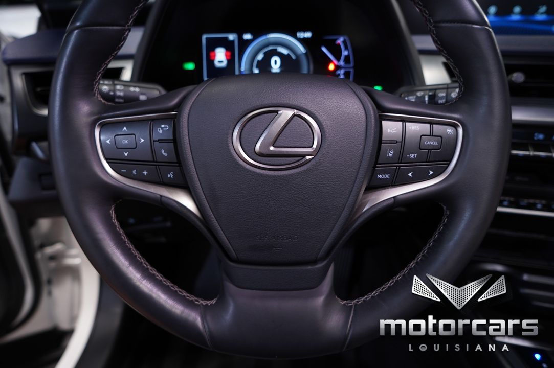 2020 Lexus UX 250h