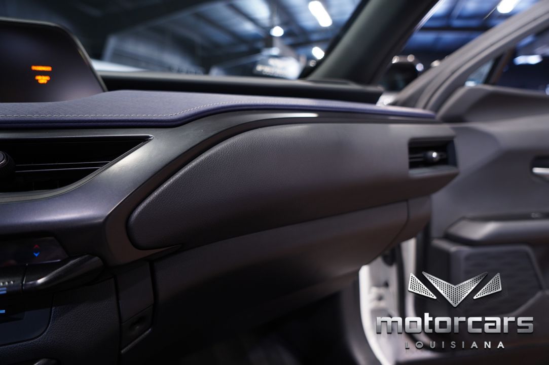 2020 Lexus UX 250h