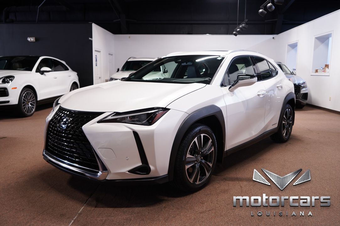 2020 Lexus UX 250h