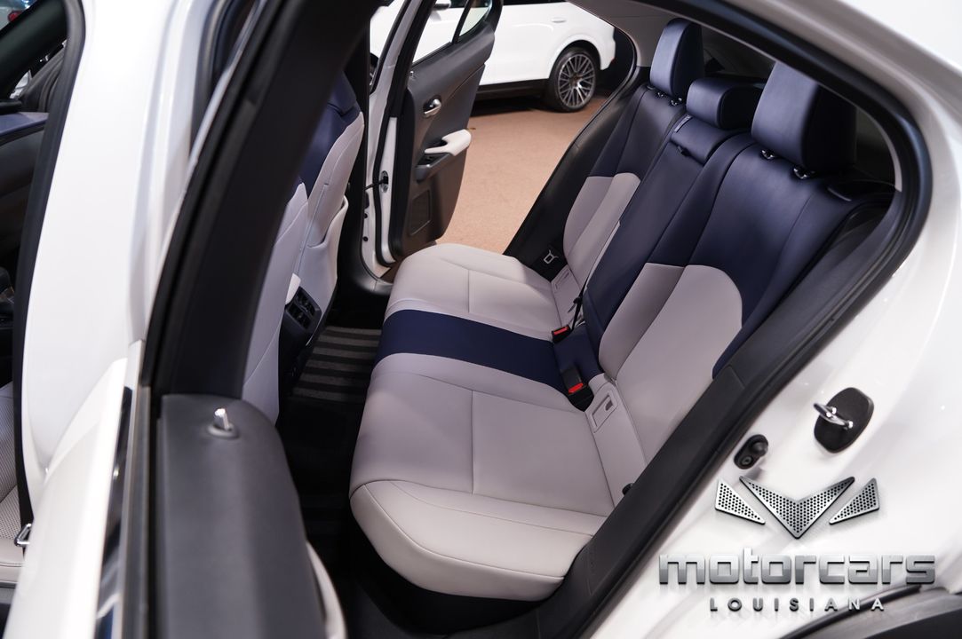 2020 Lexus UX 250h