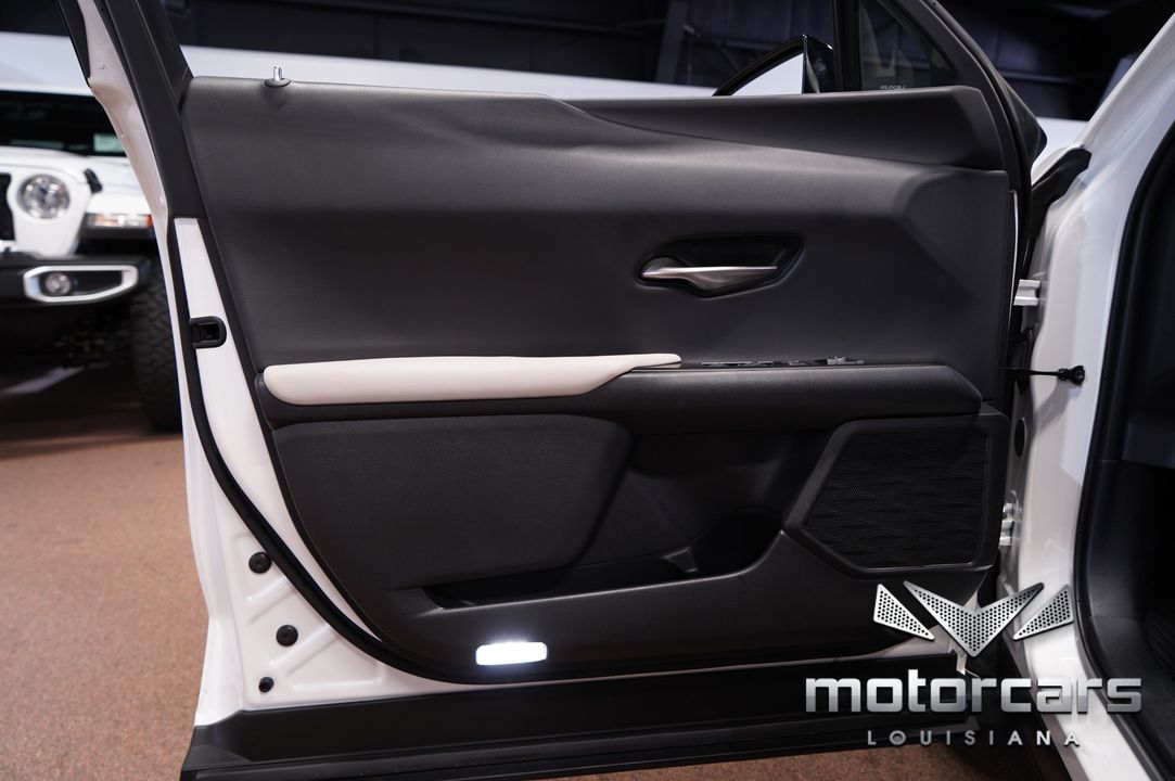 2020 Lexus UX 250h
