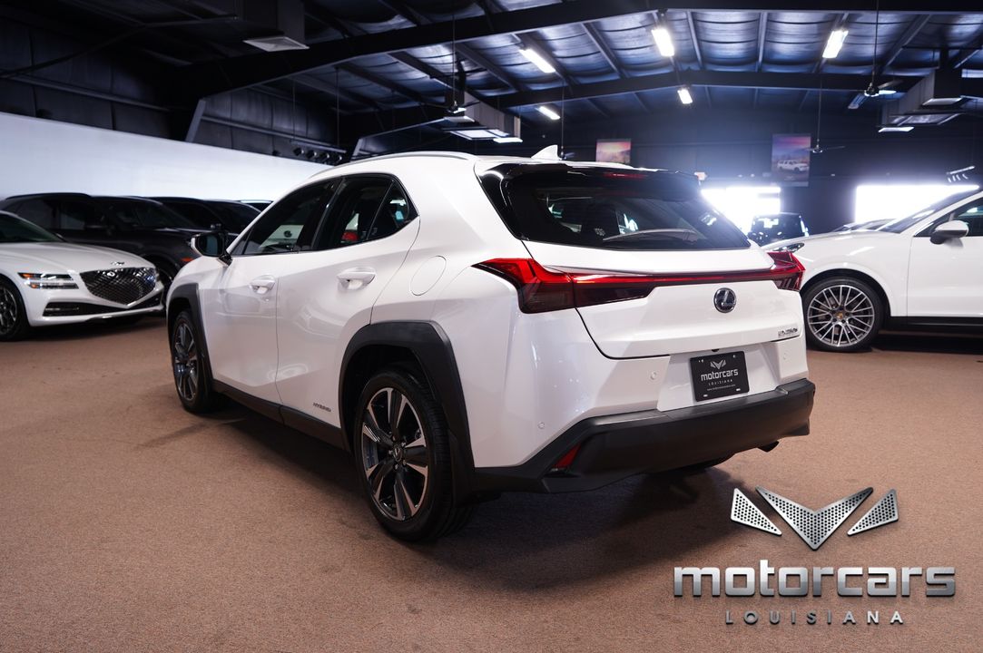 2020 Lexus UX 250h
