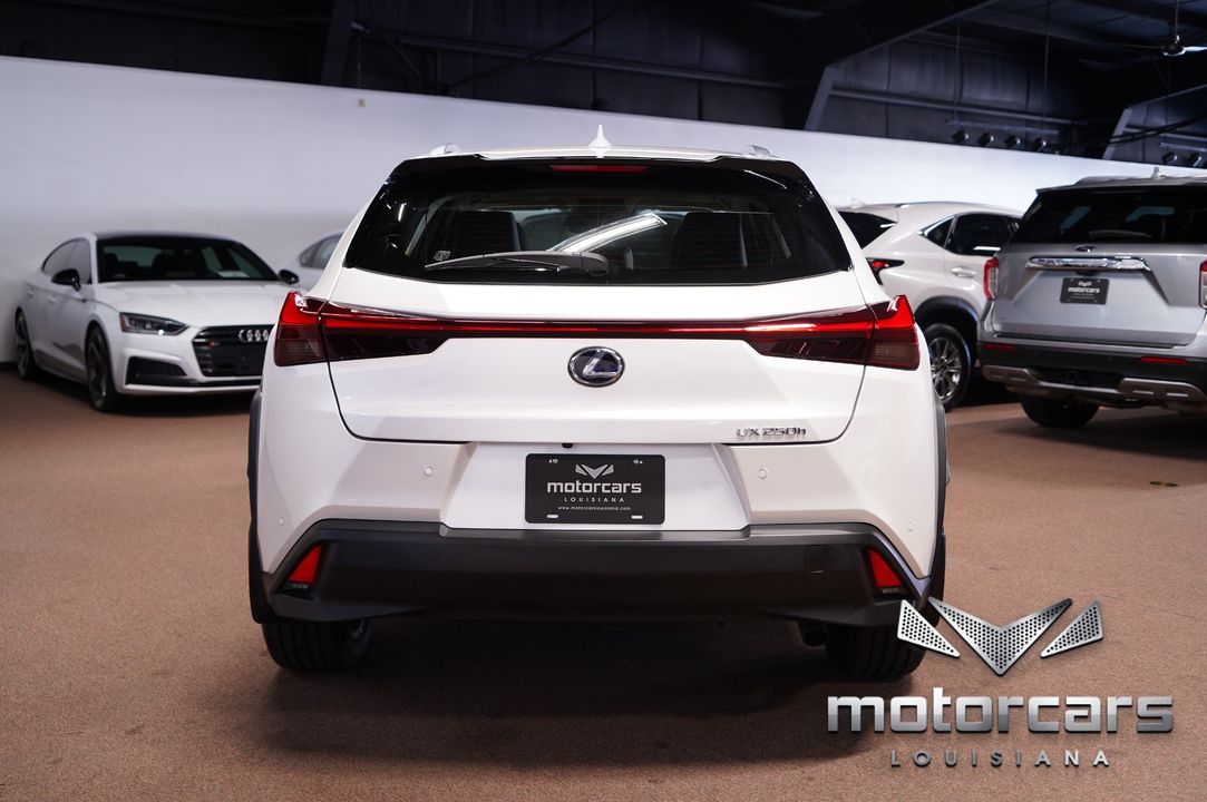 2020 Lexus UX 250h