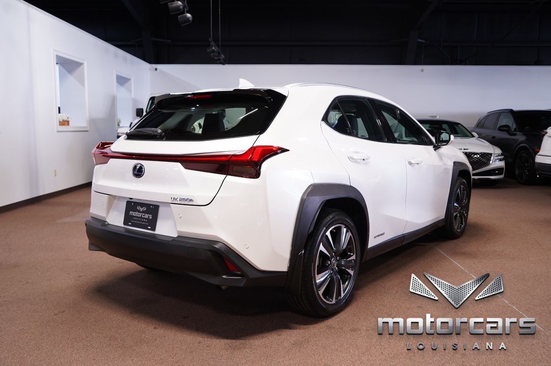 2020 Lexus UX 250h