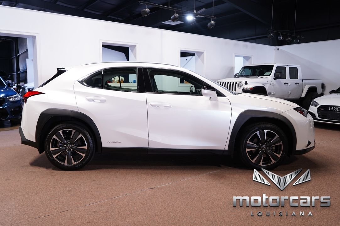 2020 Lexus UX 250h