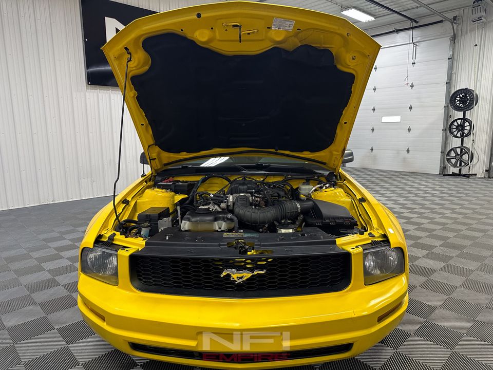 2005 Ford Mustang