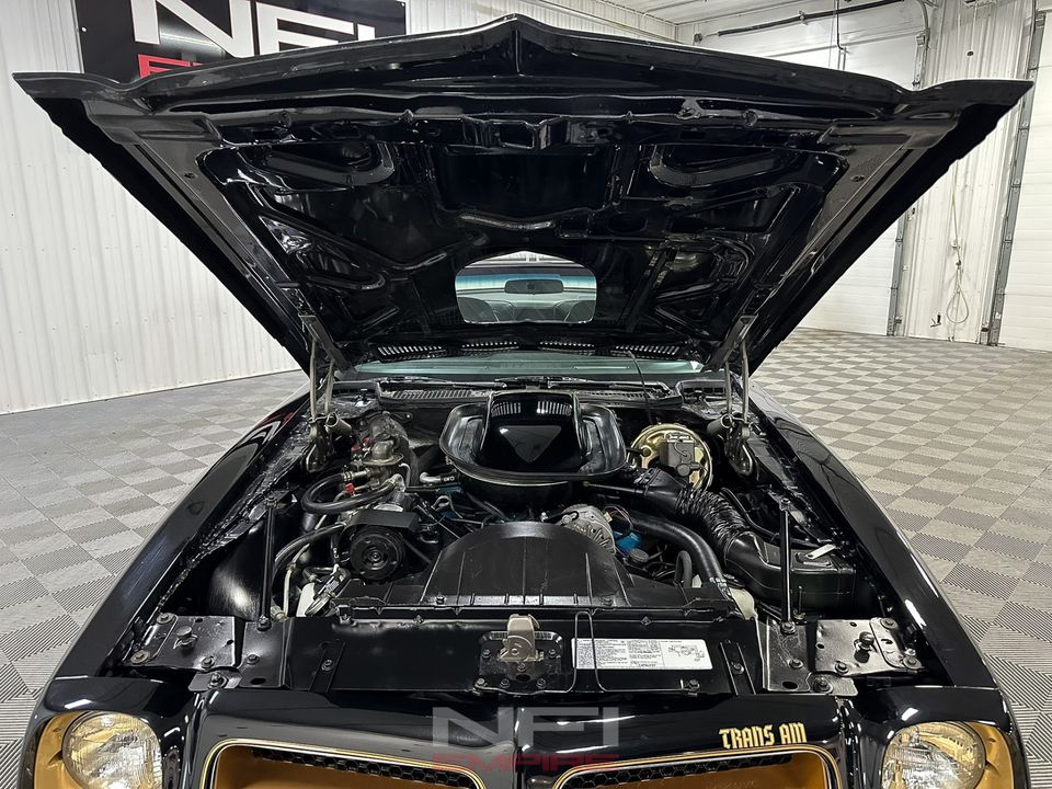 1976 Pontiac Firebird