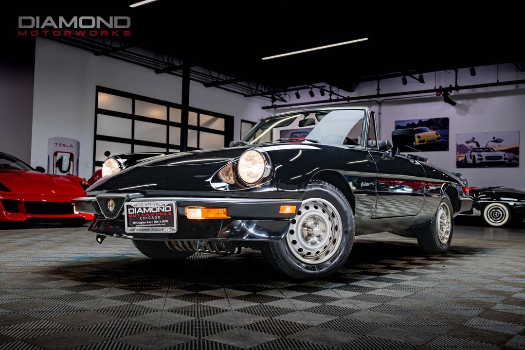 1986 Alfa Romeo Spider