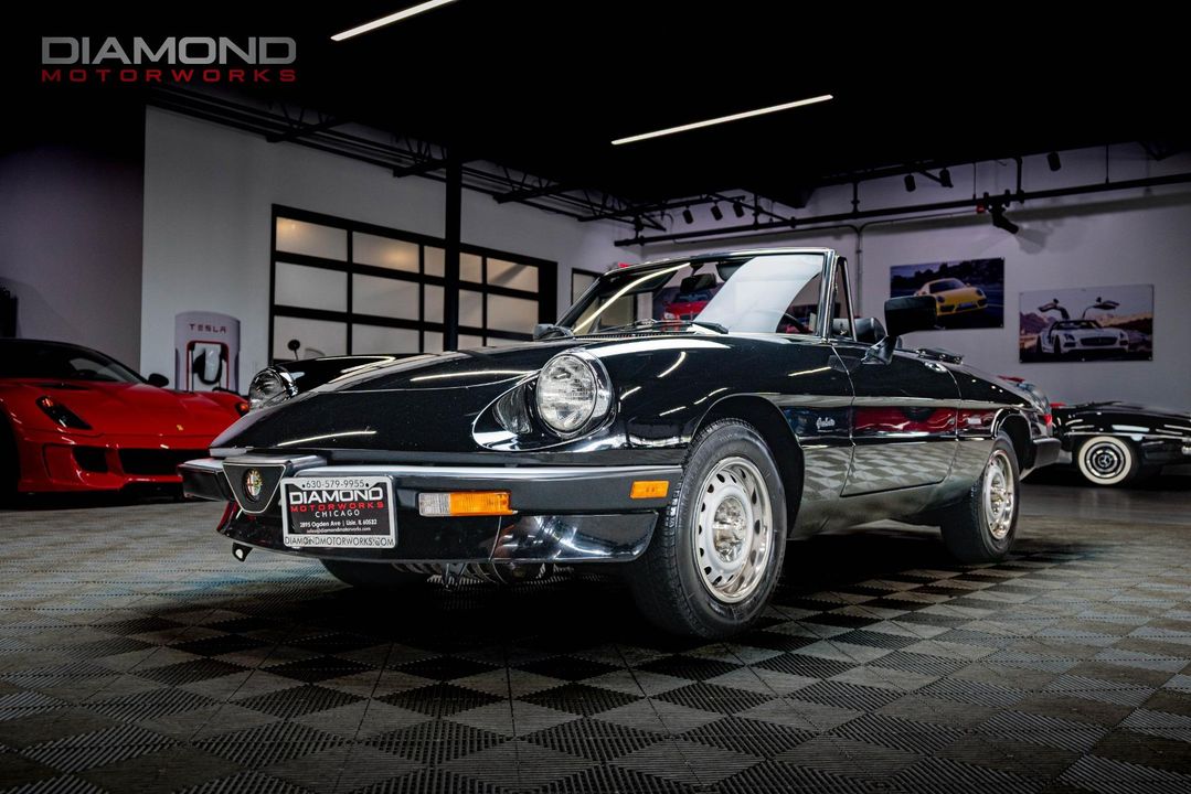1986 Alfa Romeo Spider