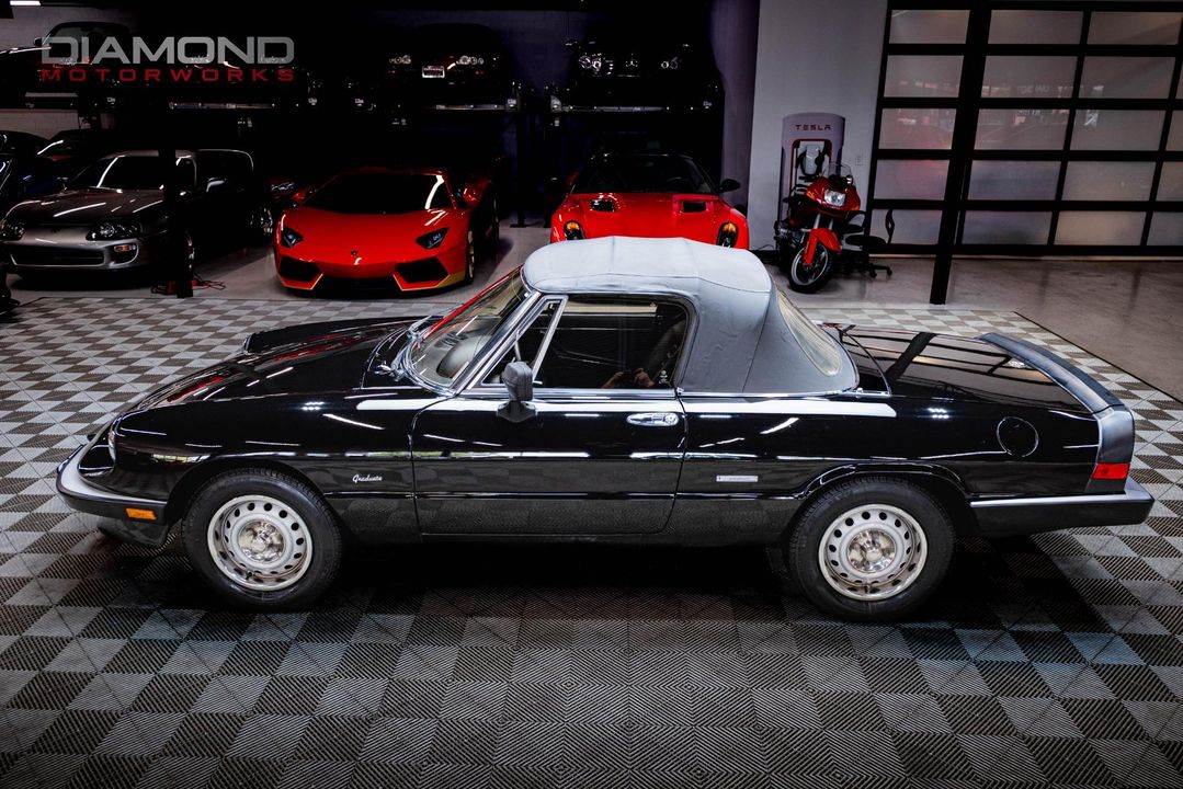 1986 Alfa Romeo Spider