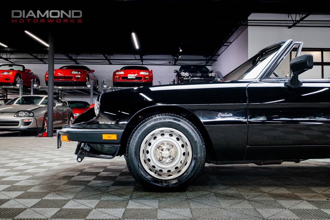 1986 Alfa Romeo Spider