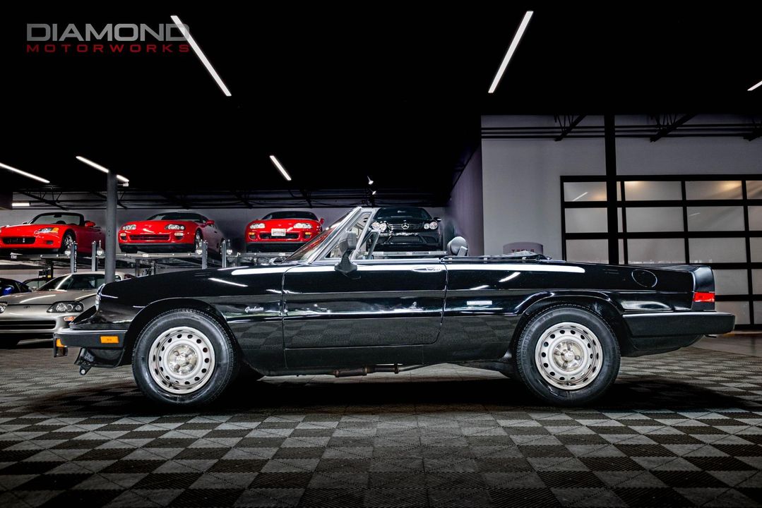 1986 Alfa Romeo Spider