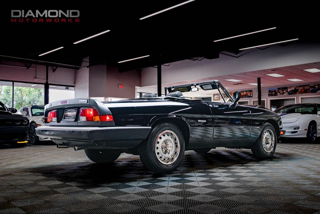 1986 Alfa Romeo Spider