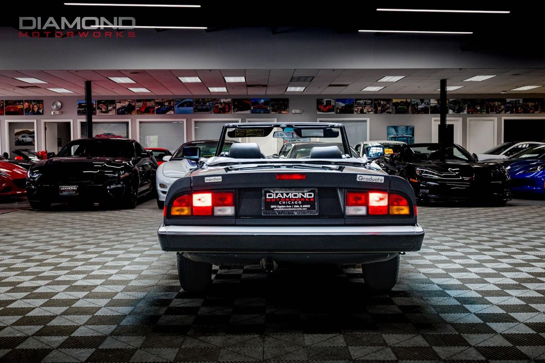 1986 Alfa Romeo Spider