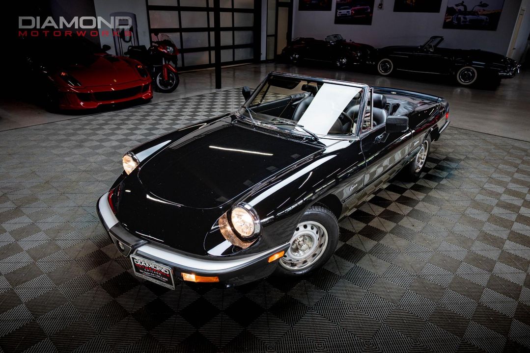 1986 Alfa Romeo Spider