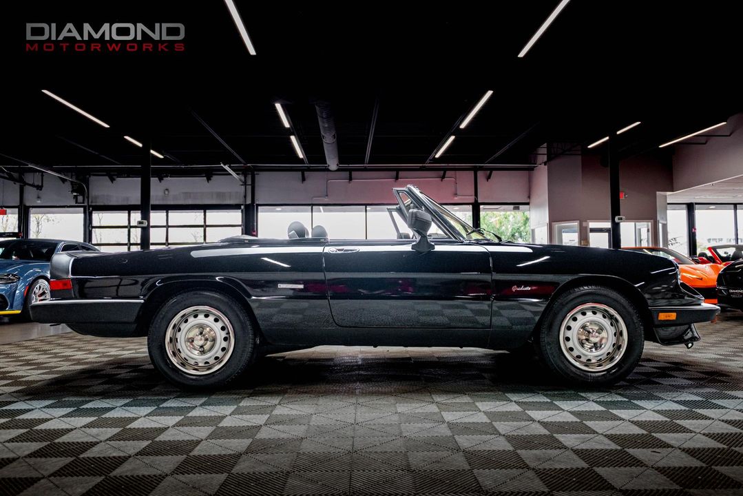 1986 Alfa Romeo Spider