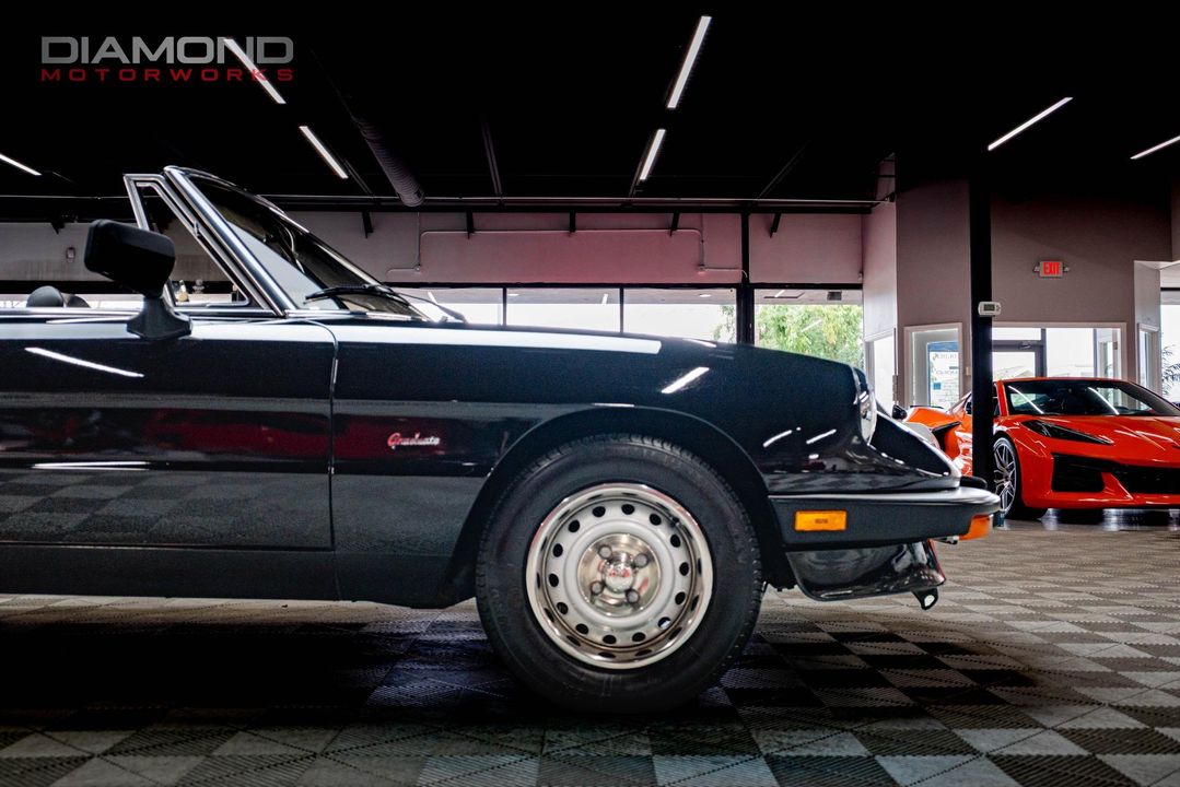 1986 Alfa Romeo Spider