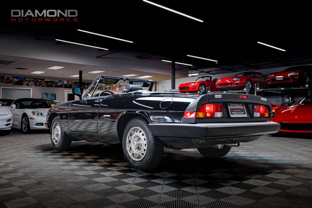 1986 Alfa Romeo Spider