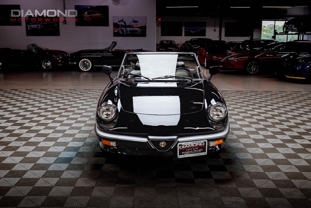 1986 Alfa Romeo Spider