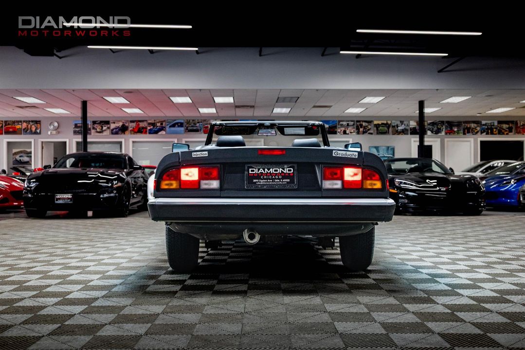1986 Alfa Romeo Spider