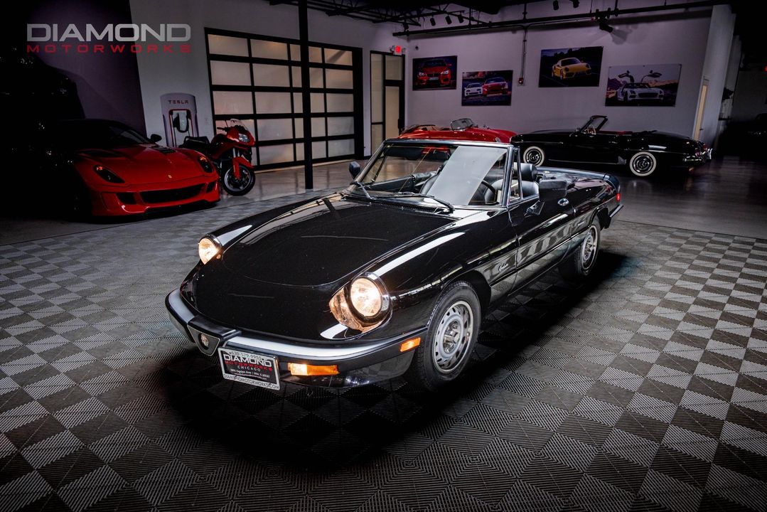 1986 Alfa Romeo Spider
