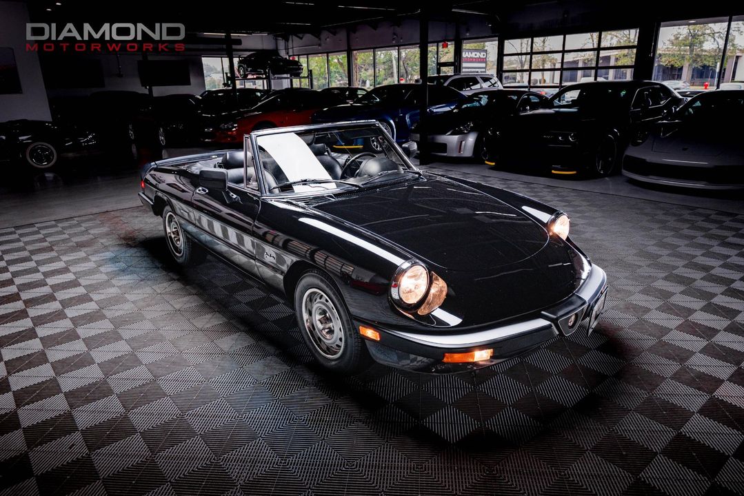 1986 Alfa Romeo Spider