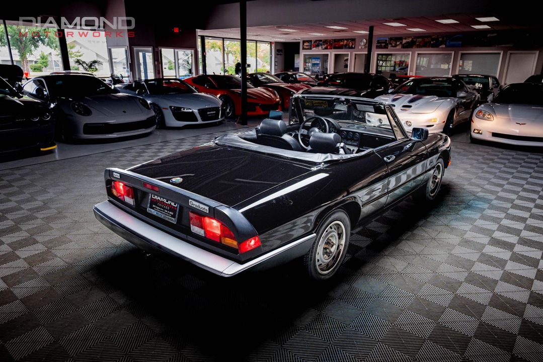 1986 Alfa Romeo Spider