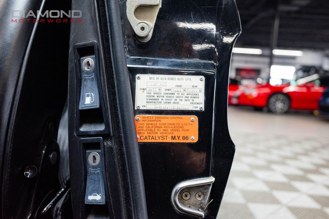 1986 Alfa Romeo Spider