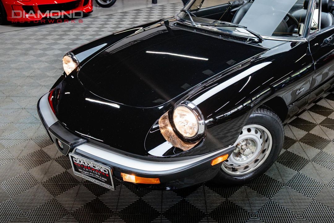 1986 Alfa Romeo Spider
