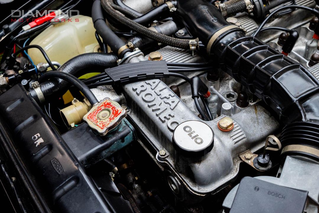 1986 Alfa Romeo Spider