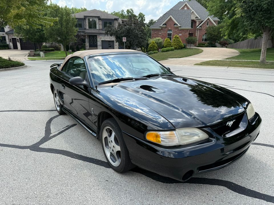 1996 Ford Mustang SVT Cobra