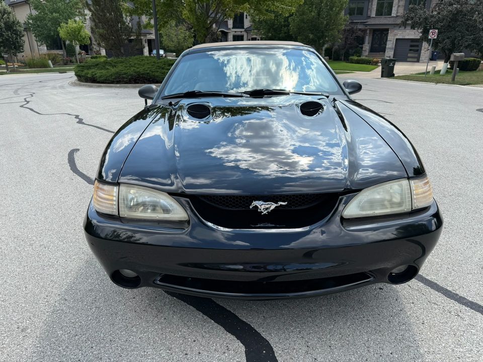 1996 Ford Mustang SVT Cobra