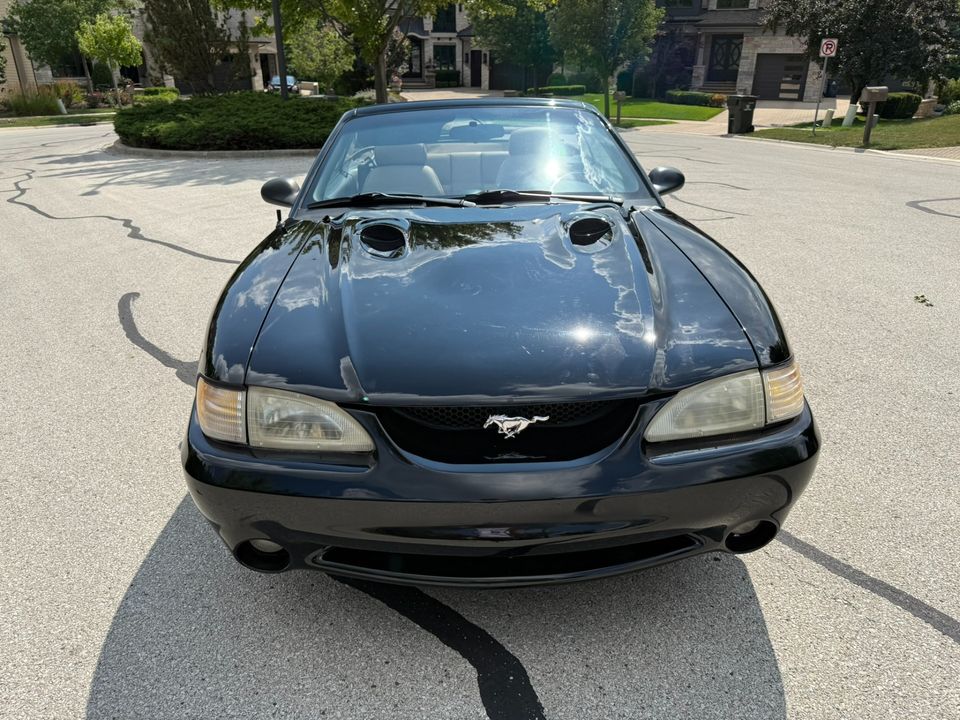 1996 Ford Mustang SVT Cobra