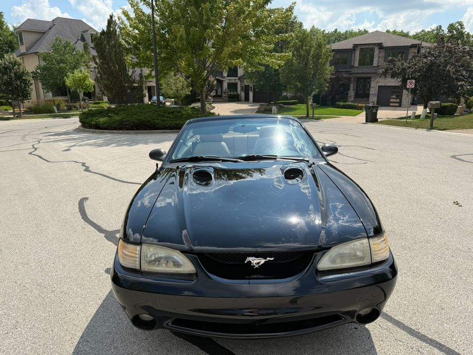 1996 Ford Mustang SVT Cobra
