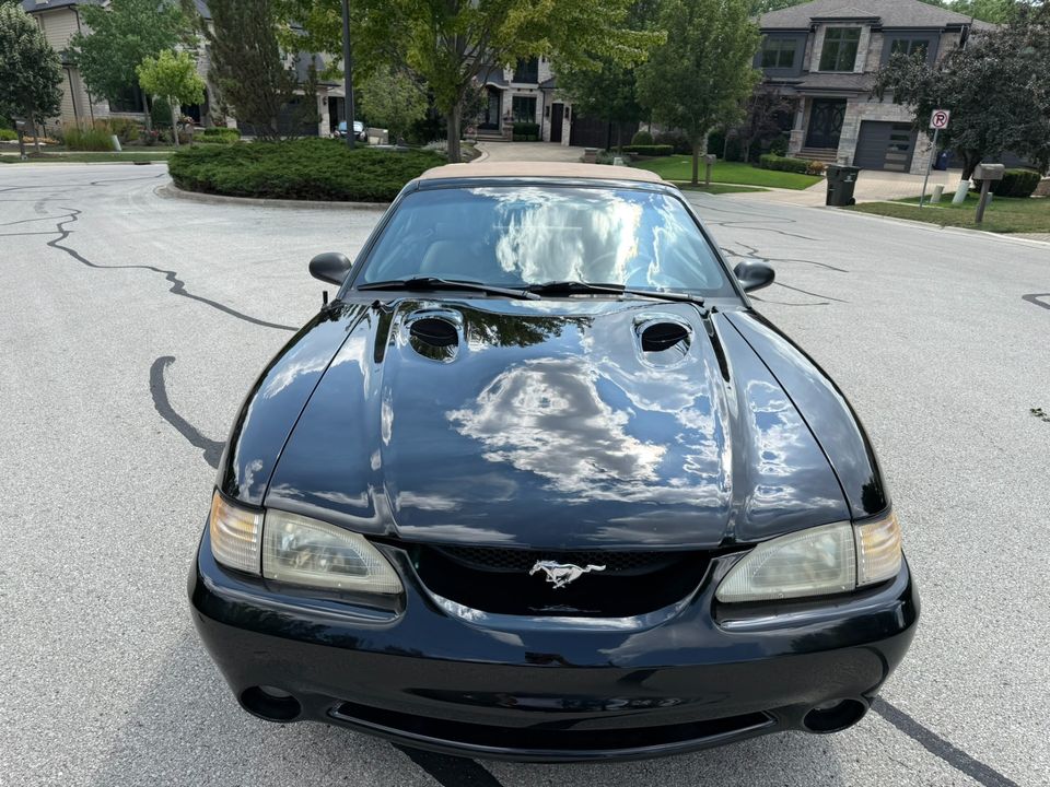1996 Ford Mustang SVT Cobra